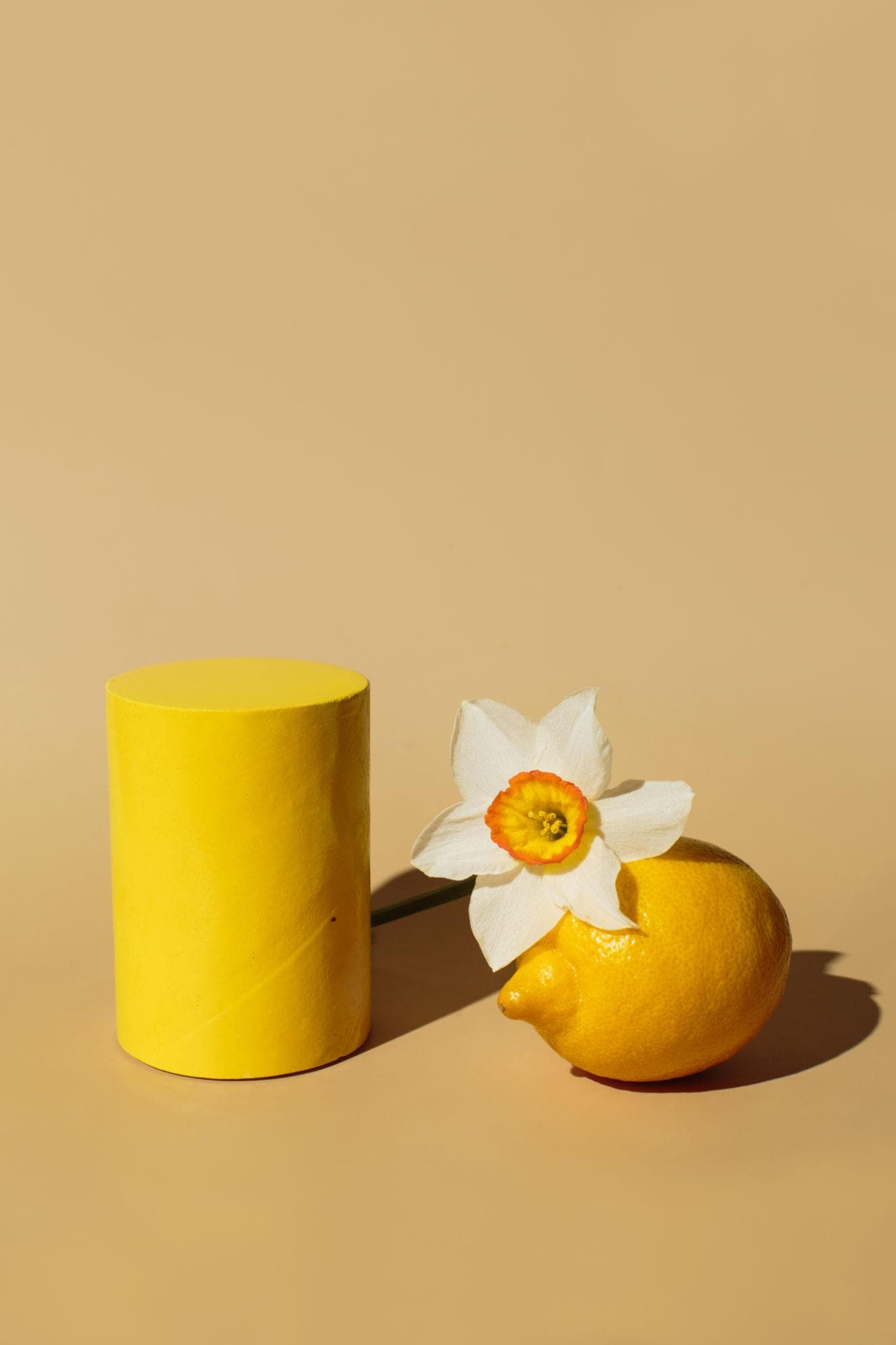 Bodegon con limon y cilindro amarillo